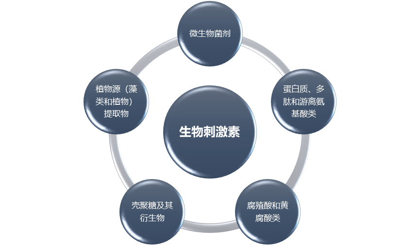 生物刺激素行業(yè)報(bào)告與投資分析 市場(chǎng)規(guī)模、發(fā)展前景及利潤(rùn)洞察